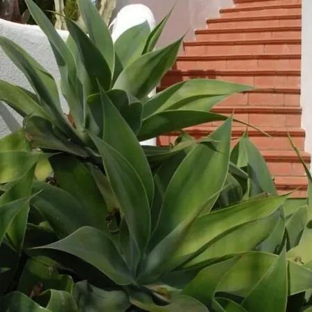 Affittacamere Azzurra 3*