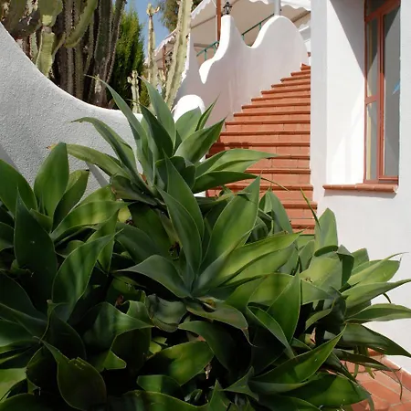 Maison d'hôtes La Azzurra 3*