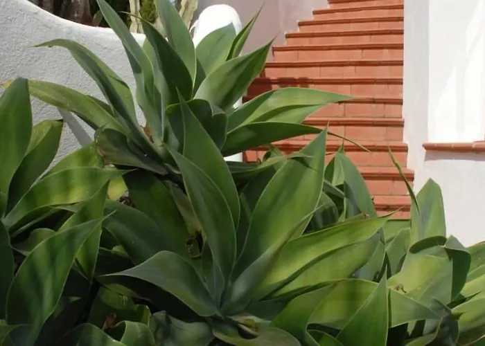 Casa de hóspedes La Azzurra 3*